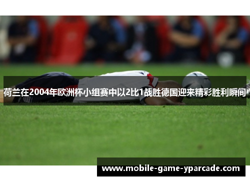 荷兰在2004年欧洲杯小组赛中以2比1战胜德国迎来精彩胜利瞬间