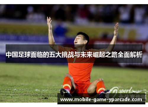 中国足球面临的五大挑战与未来崛起之路全面解析