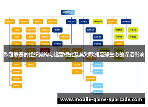 欧超联赛的组织架构与运营模式及其对欧洲足球生态的深远影响