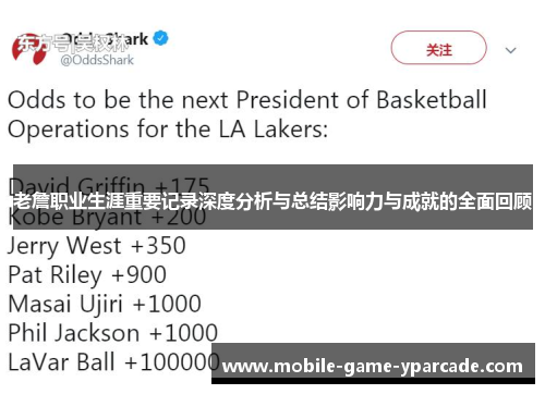 老詹职业生涯重要记录深度分析与总结影响力与成就的全面回顾