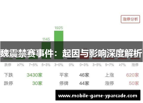 魏震禁赛事件：起因与影响深度解析